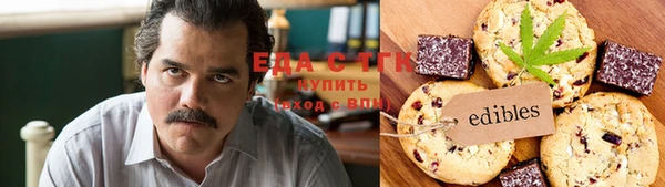 амф Верхний Тагил