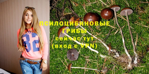 ALPHA PVP Верхнеуральск