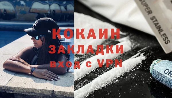 амф Верхний Тагил