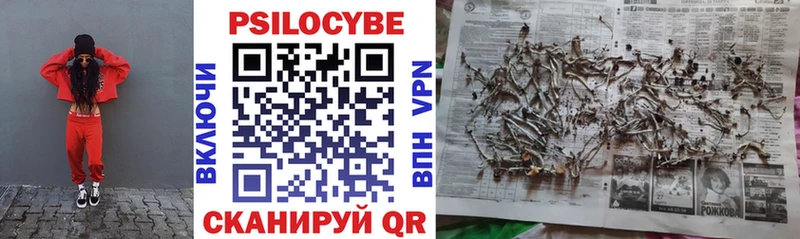 Псилоцибиновые грибы мицелий  Купить где  Мелеуз 